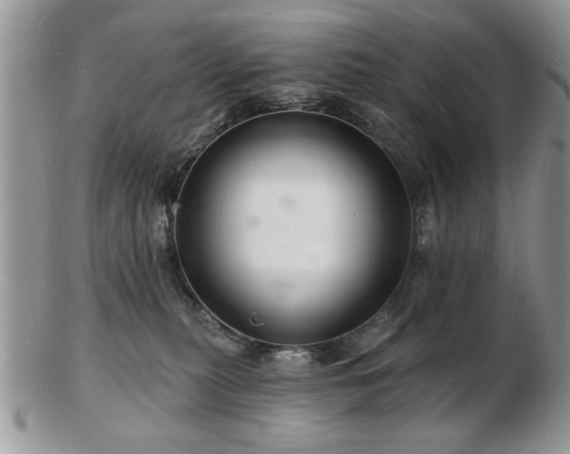 X0000103240279200808281448