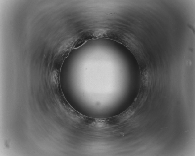 X0000103240280200808281448