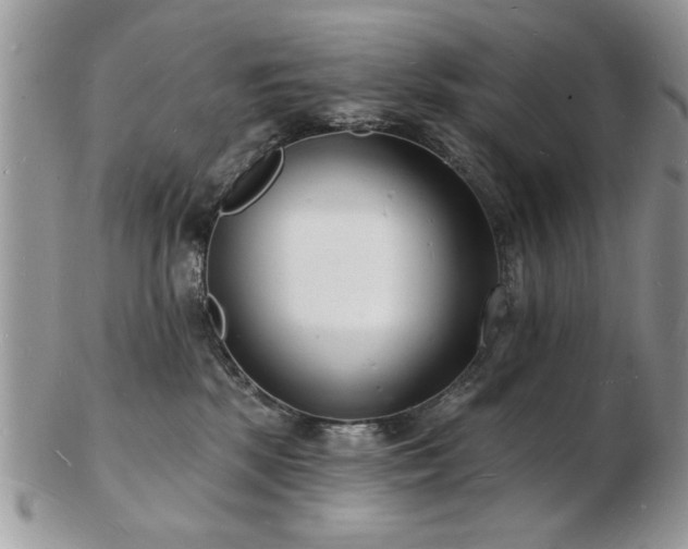 X0000103240281200808281448