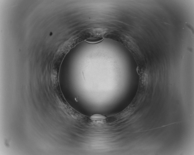 X0000103240283200808281448