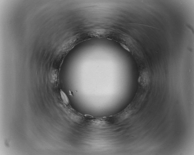 X0000103240284200808281448