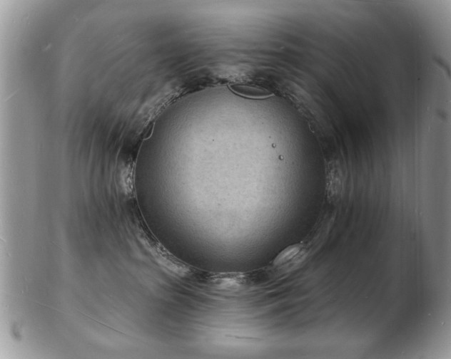 X0000103240285200808281448