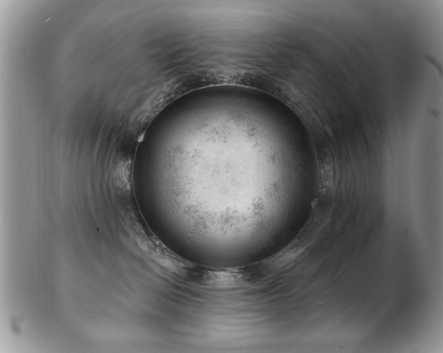X0000103240286200808281448