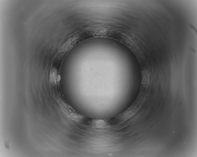 X0000103240287200808281448