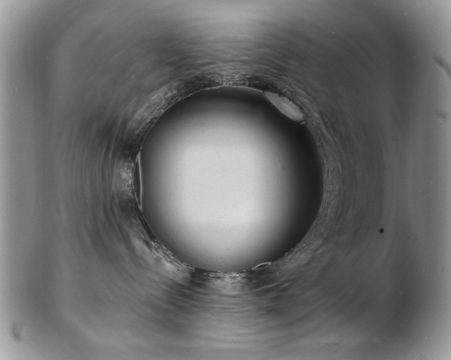 X0000103240288200808281448