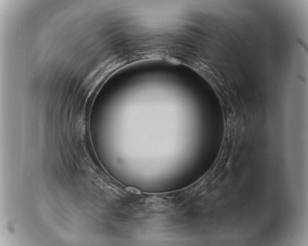 X0000103240290200808281447