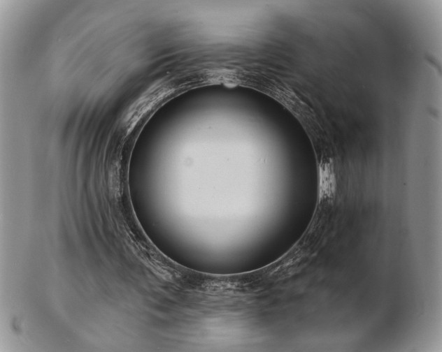 X0000103240291200808281447