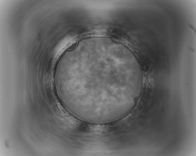 X0000103240293200808281447