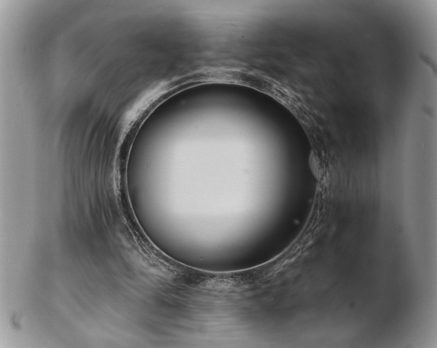 X0000103240294200808281447