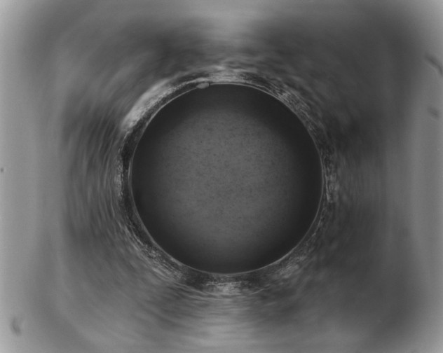 X0000103240295200808281447