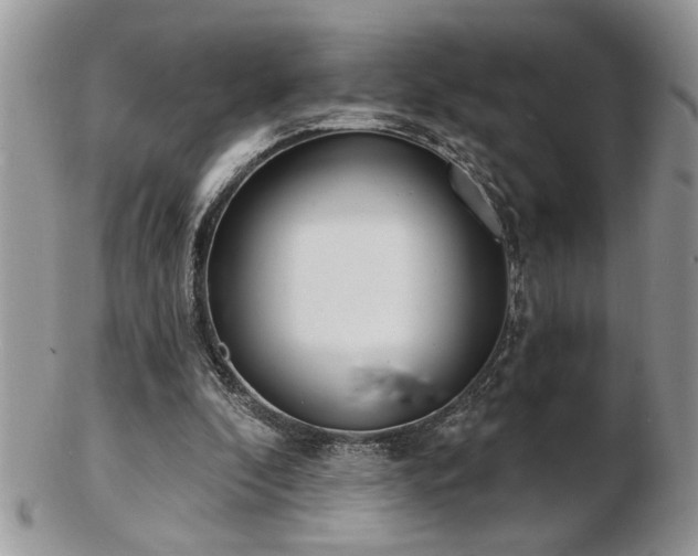 X0000103240296200808281447