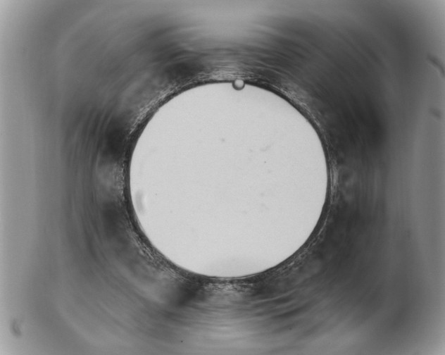 X0000103240297200808281447