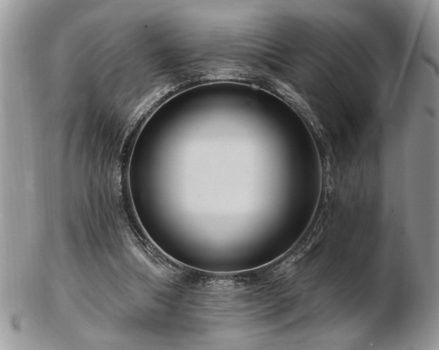 X0000103240298200808281447