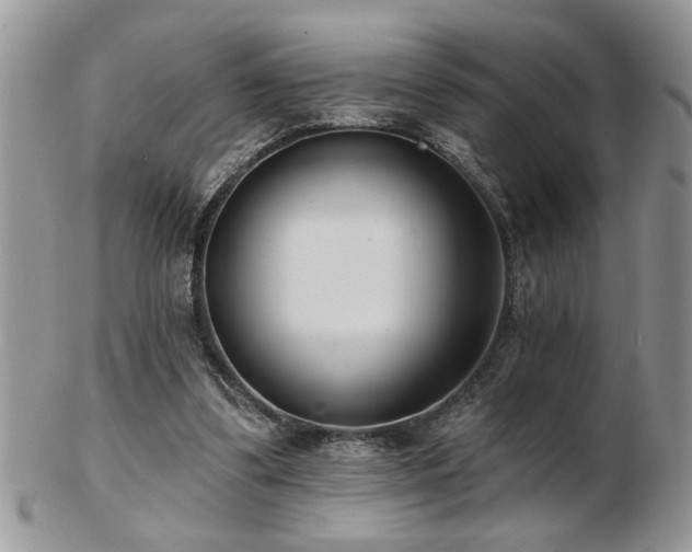 X0000103240299200808281447