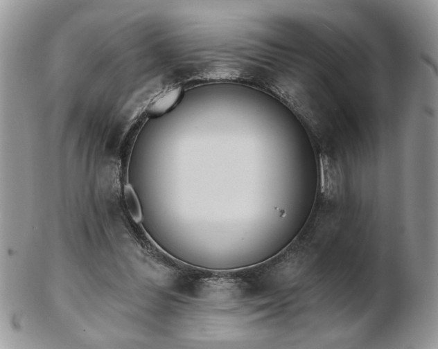 X0000103240300200808281447
