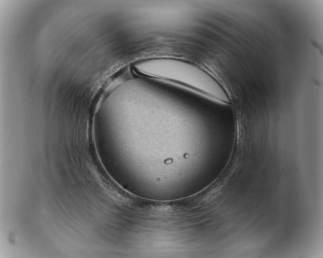 X0000103240301200808281447