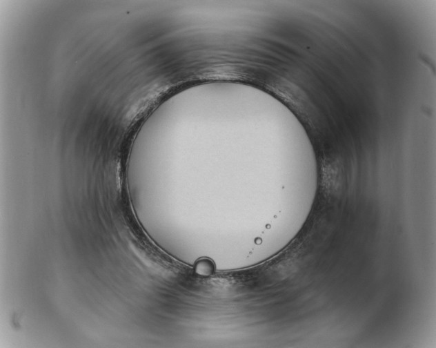 X0000103240302200808281447