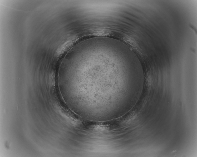X0000103240303200808281447