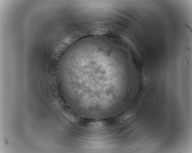 X0000103240307200808281447