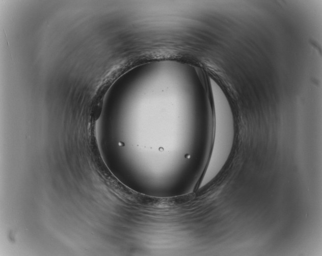 X0000103240308200808281447