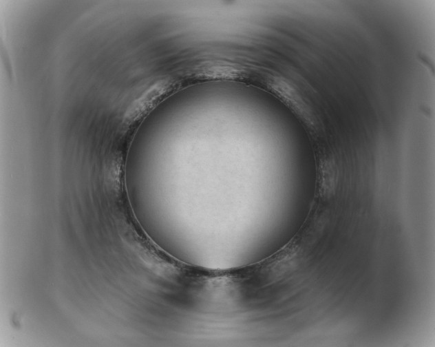 X0000103240309200808281447