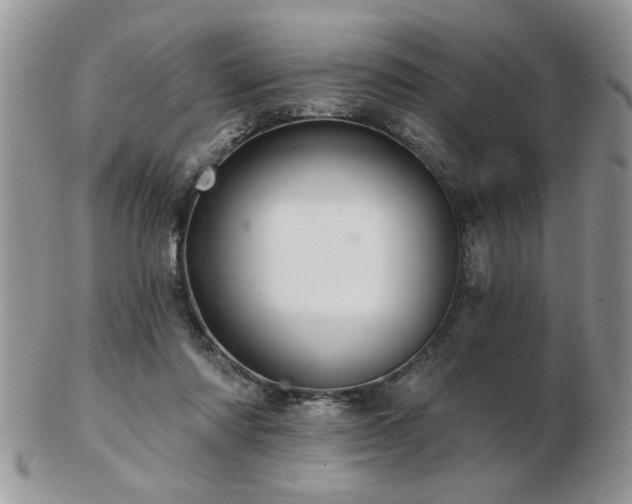 X0000103240310200808281447