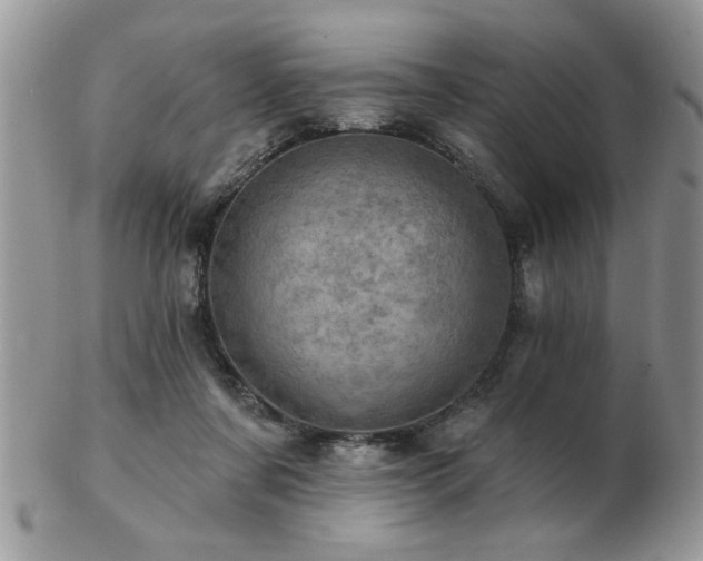 X0000103240311200808281447