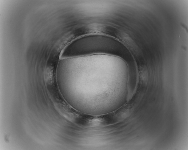 X0000103240312200808281447