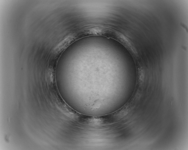 X0000103240313200808281447