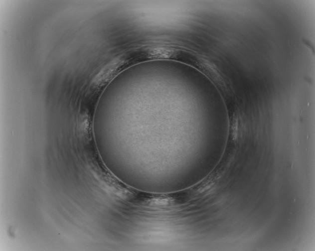 X0000103240314200808281447