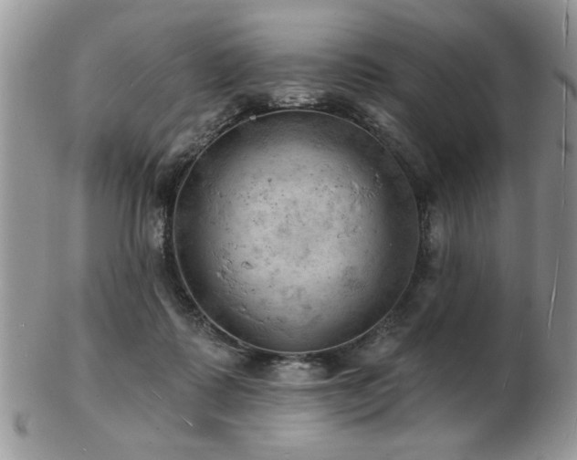 X0000103240315200808281447