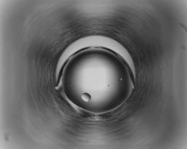 X0000103240316200808281447