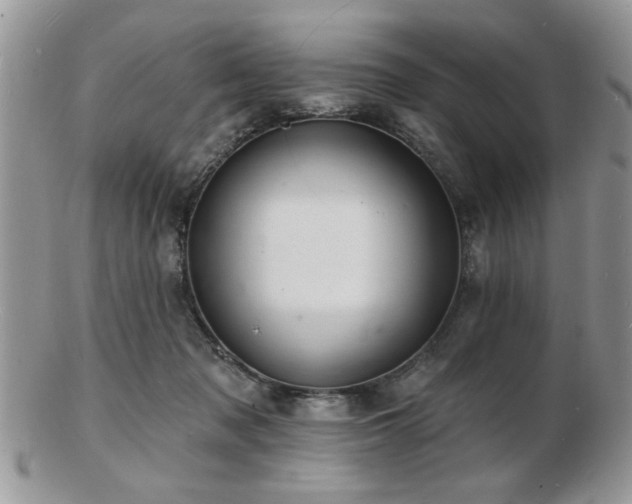 X0000103240317200808281447