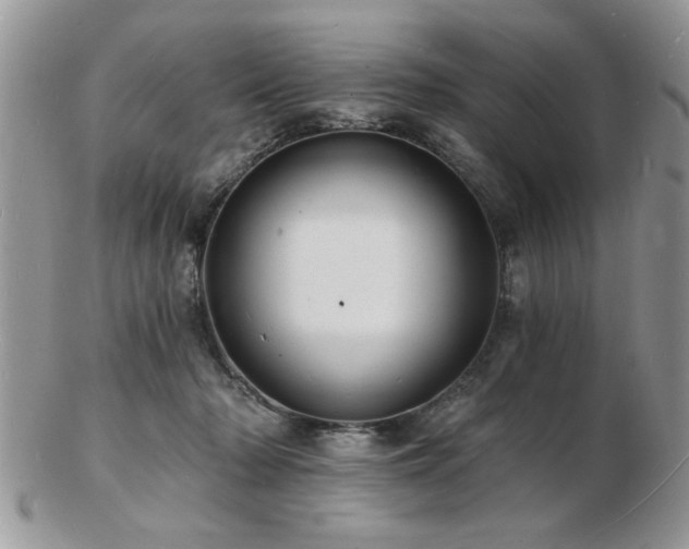 X0000103240318200808281447