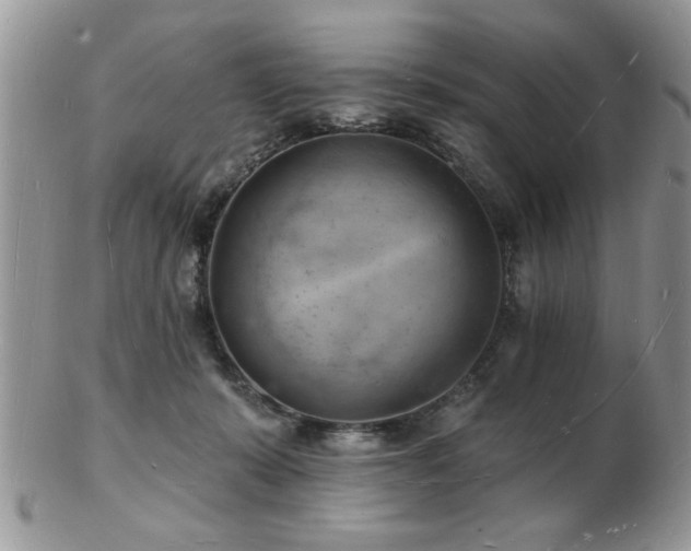 X0000103240319200808281447