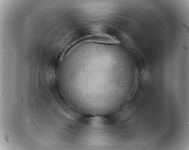 X0000103240320200808281447