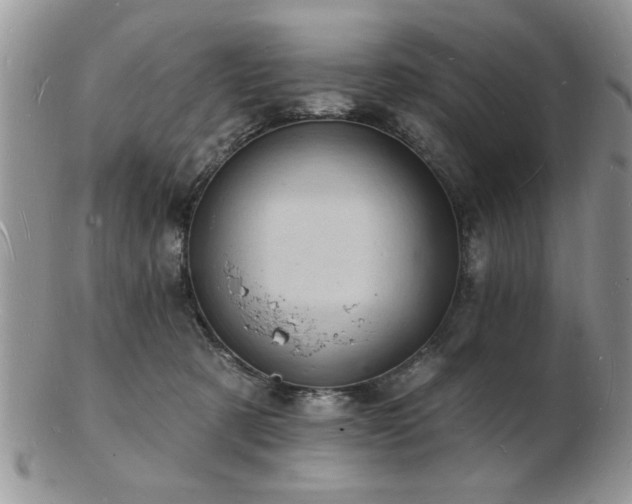 X0000103240321200808281446