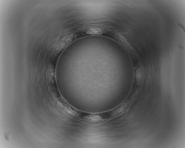 X0000103240322200808281446