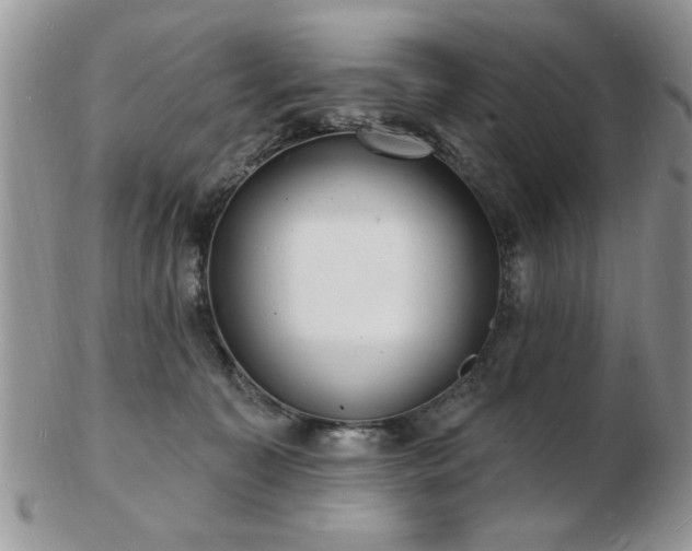 X0000103240323200808281446