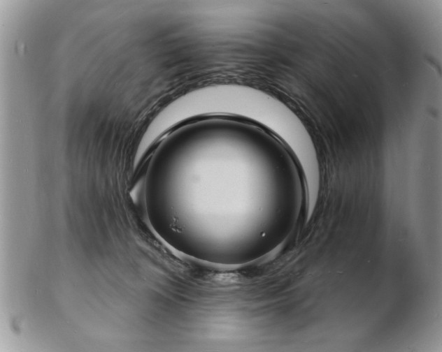 X0000103240324200808281446