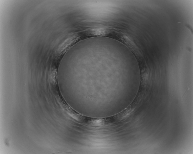X0000103240325200808281446