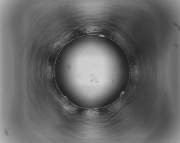 X0000103240327200808281446