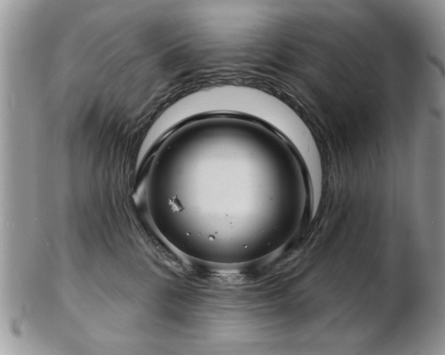X0000103240328200808281446