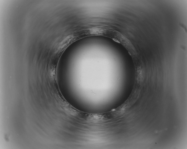 X0000103240329200808281446