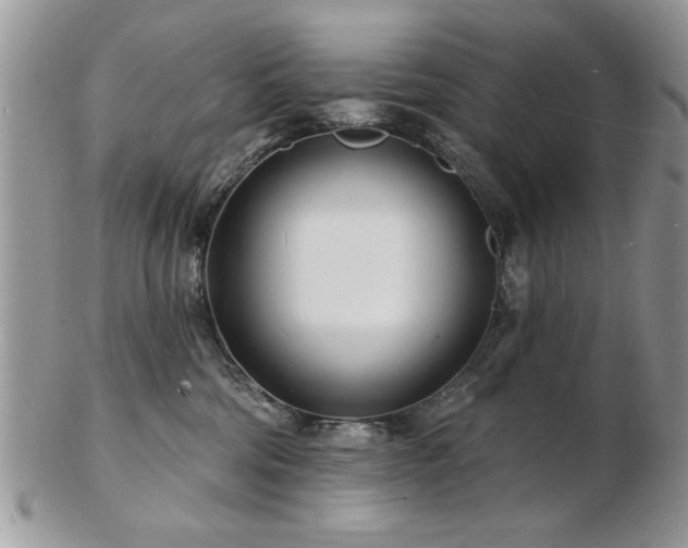 X0000103240330200808281446