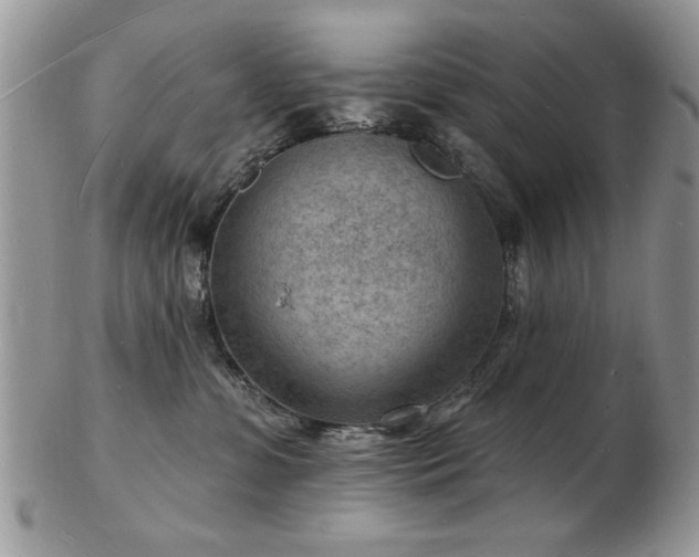 X0000103240331200808281446