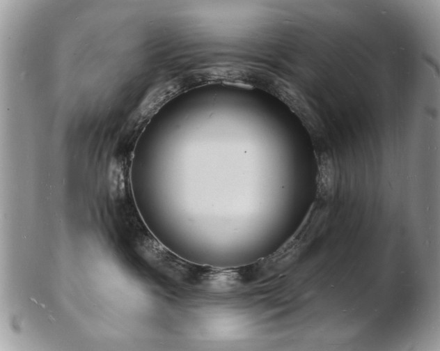 X0000103240333200808281446