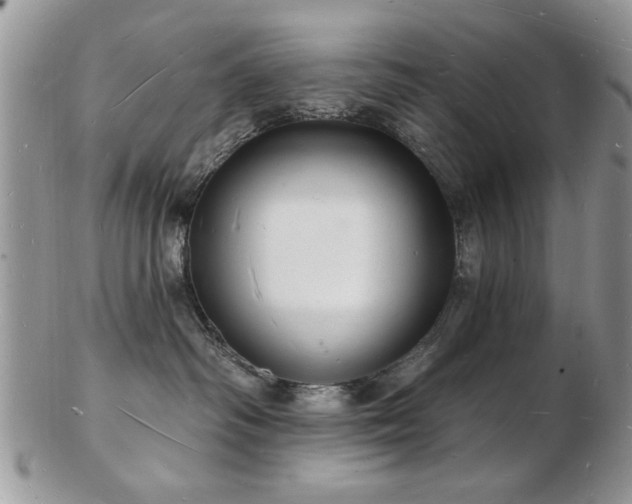 X0000103240334200808281446
