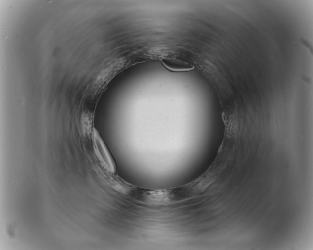 X0000103240335200808281446