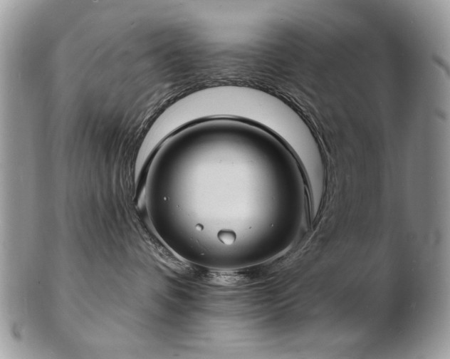 X0000103240336200808281446
